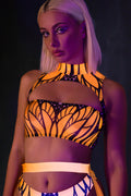 Fluttering Dreams Mesh Cutout Top