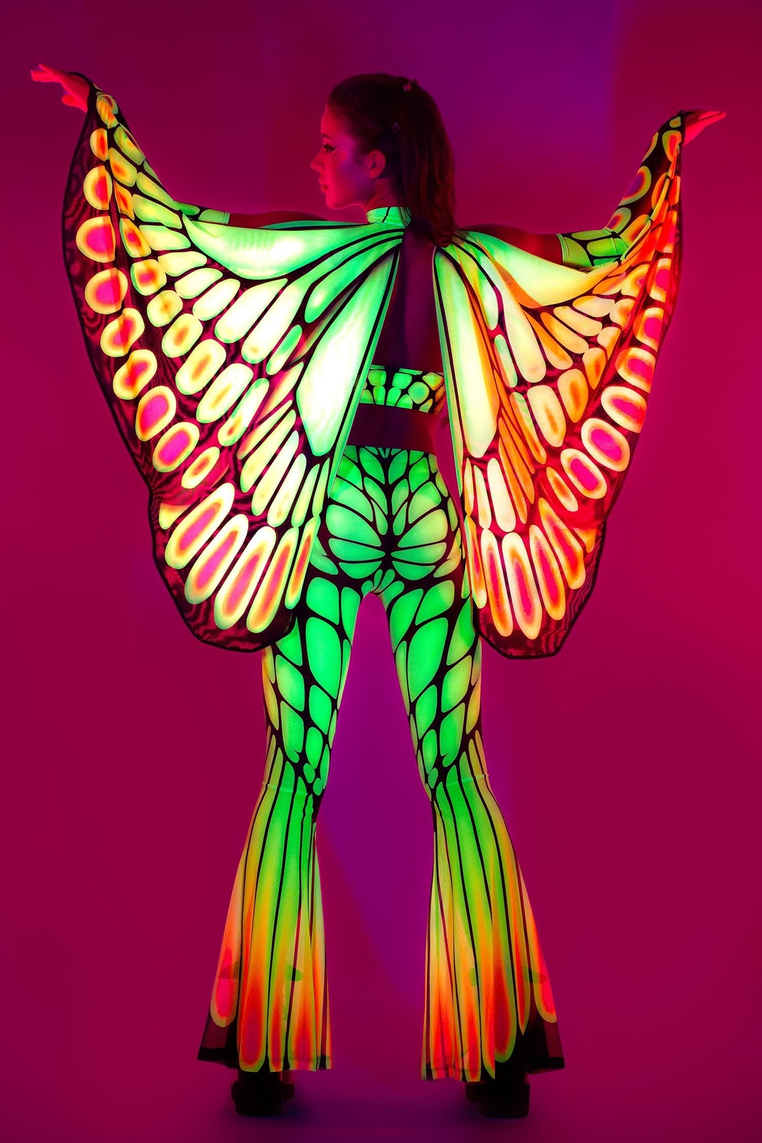 Papilion Wings Set