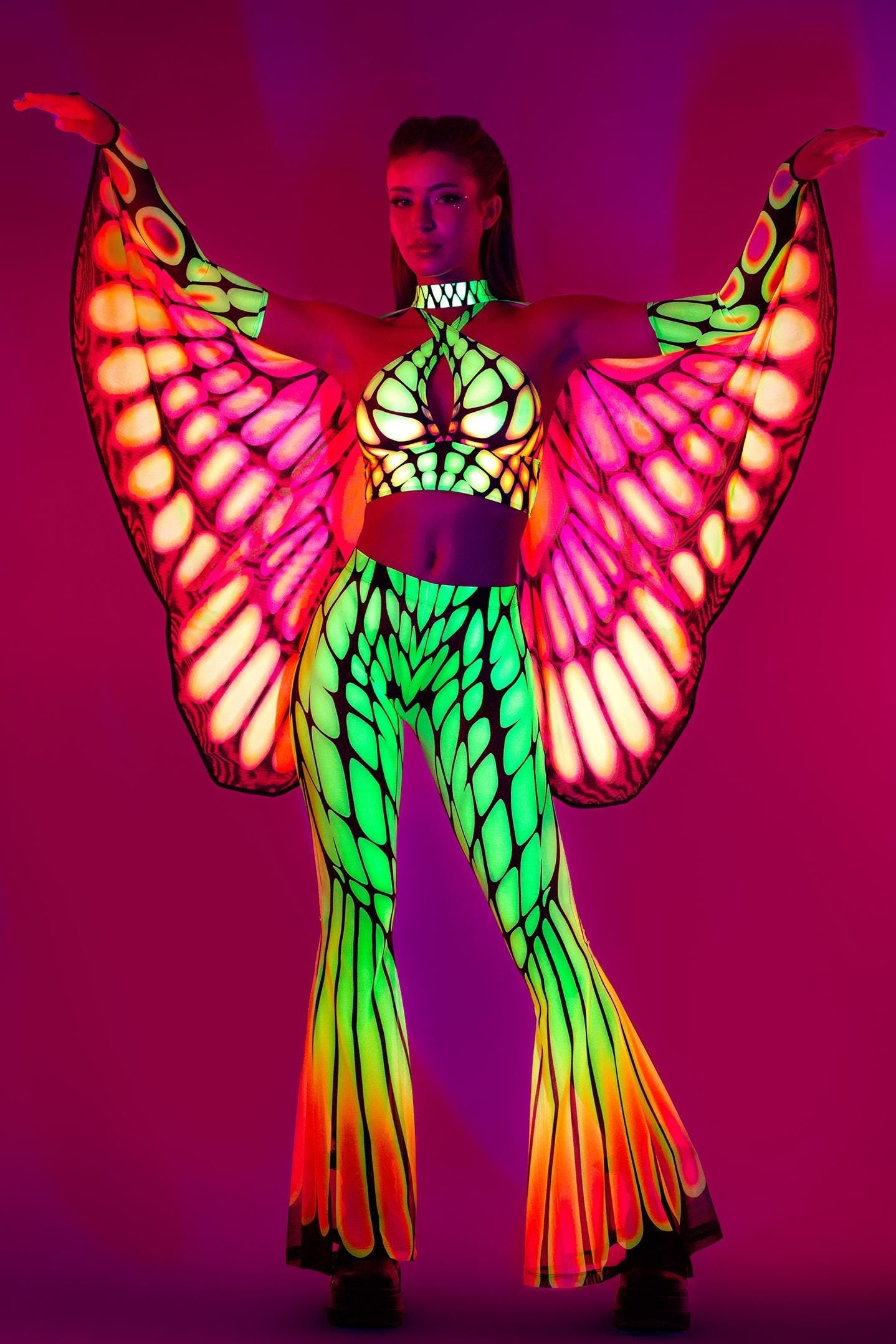 Papilion Wings Set