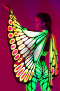 Papilion Wings