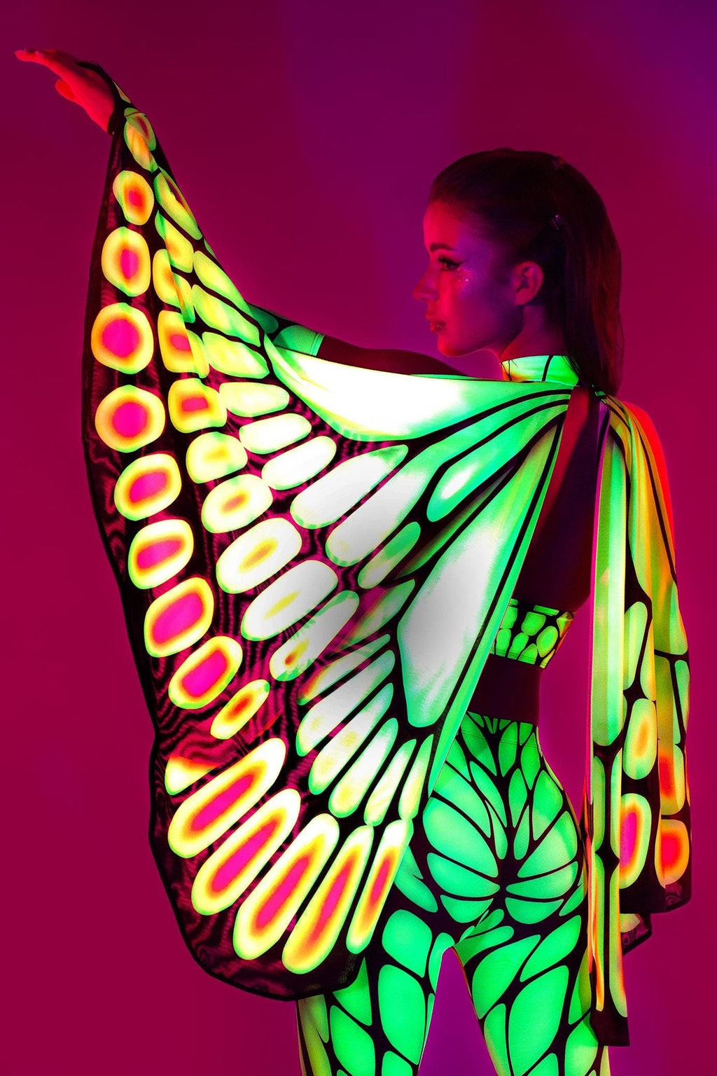Papilion Wings Set